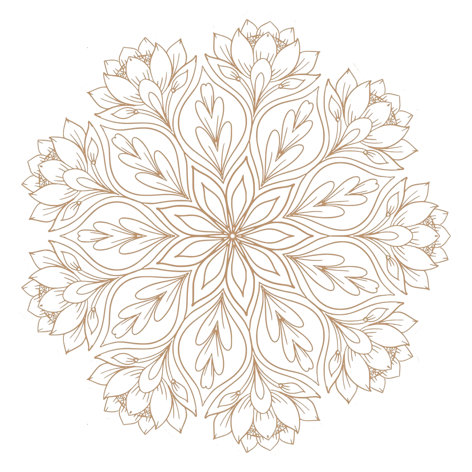 Psicóloga Lígia R. Bernal